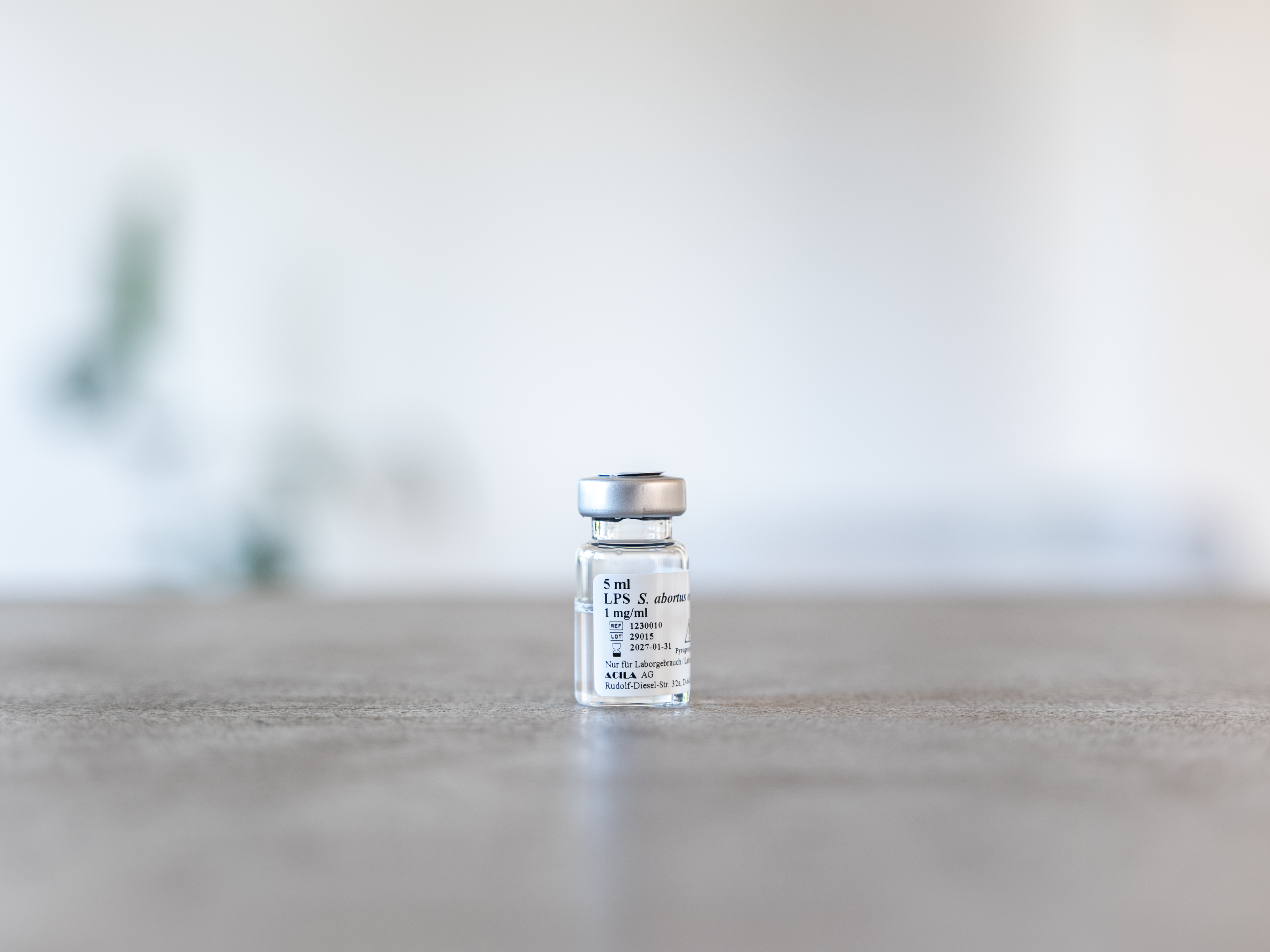 5 mg LPS S. abortus equi - 1230010 (1).jpg